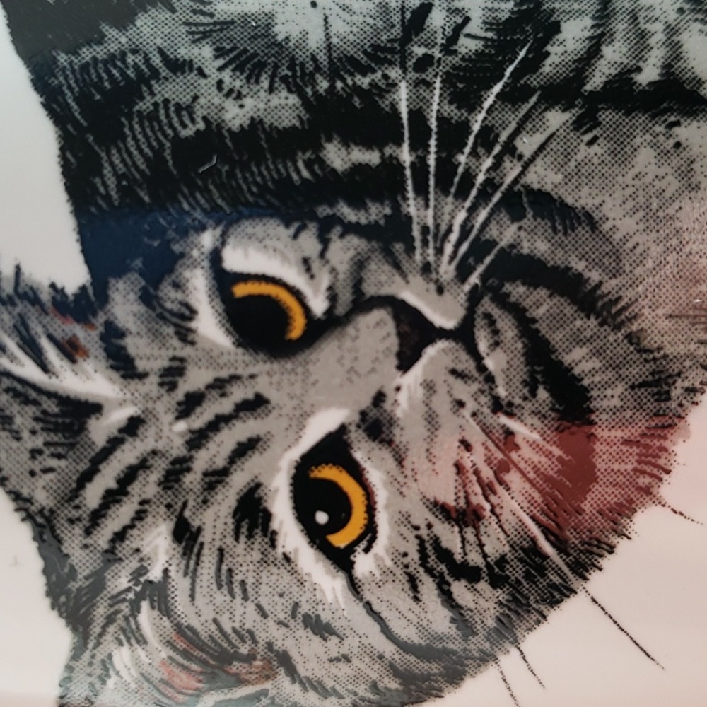 Painted Gray Tabby Cat Mug With Tail on Handle & Paw Print Lid/Saucer - Picture 6 of 6